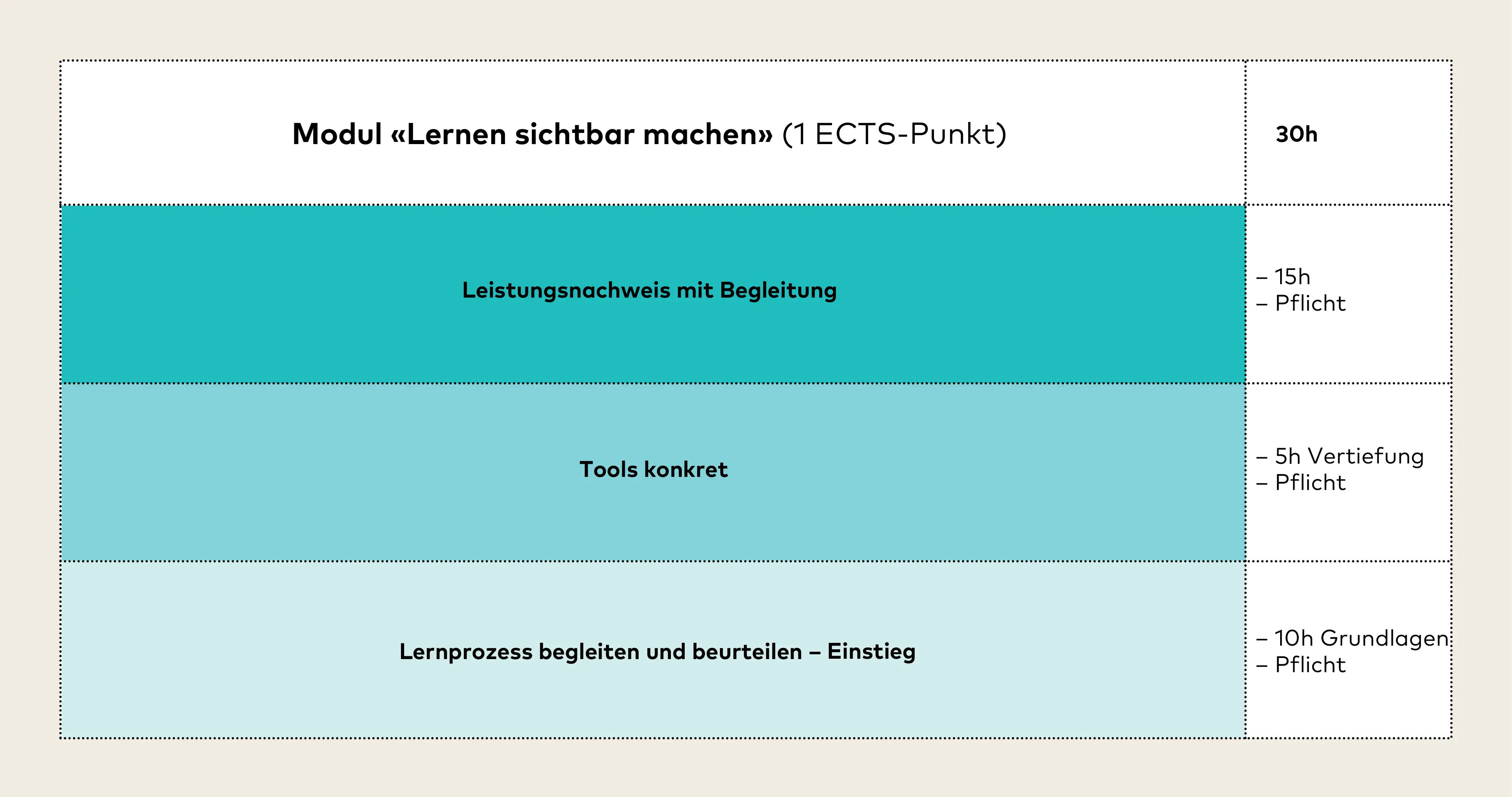 Modulschema «Lernen sichtbar machen»