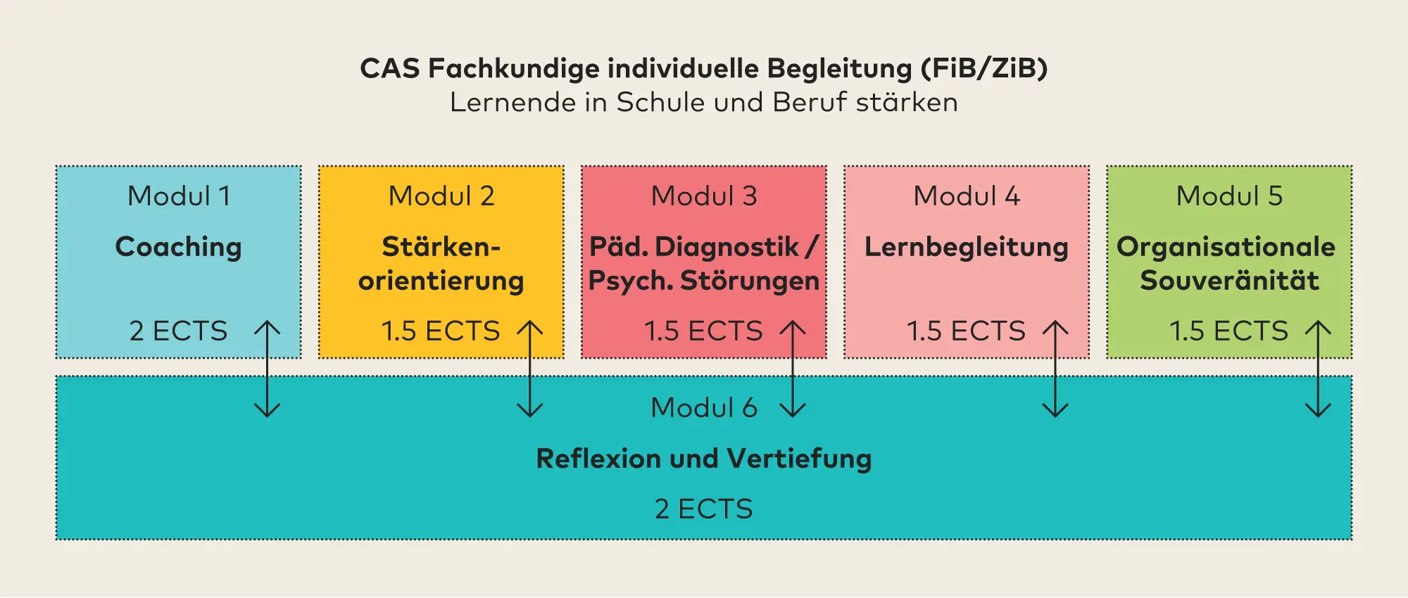 Eine Grafik mit fünf Spalten beschreibt die Modulübersicht des CAS Fachkundige individuelle Begleitung