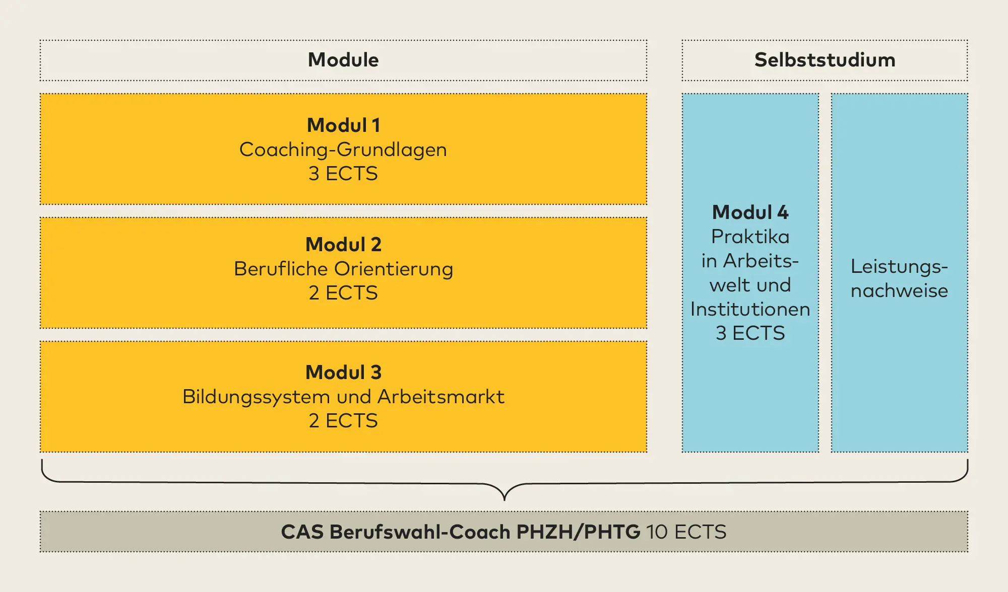 Eine Grafik mit fünf Spalten beschreibt die Modulübersicht des CAS Berufswahl-Coach.