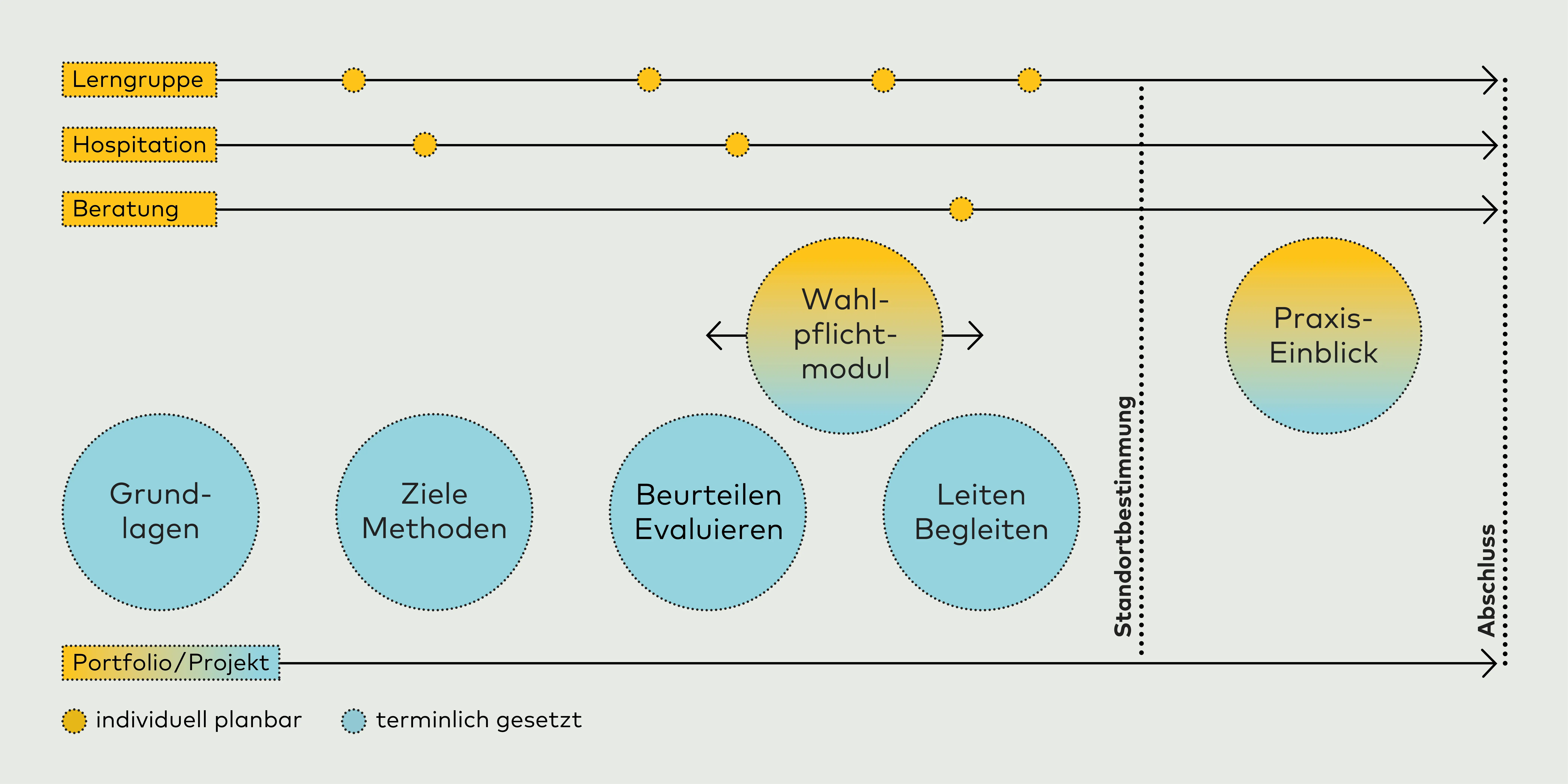 Die Grafik zeigt den modularen Aufbau mit individueller Beratung, Wahlpflichtmodul, Peer-Hospitation, Lerngruppe und Portfolio. Zwischen Peer-Hospitation und Lerngruppe sind sechs Modulblöcke abgebildet, von Modul 1 bis Modul 5 und dem Abschluss. Zwischen Modul 4 und 5 ist der Zwischenstand platziert.