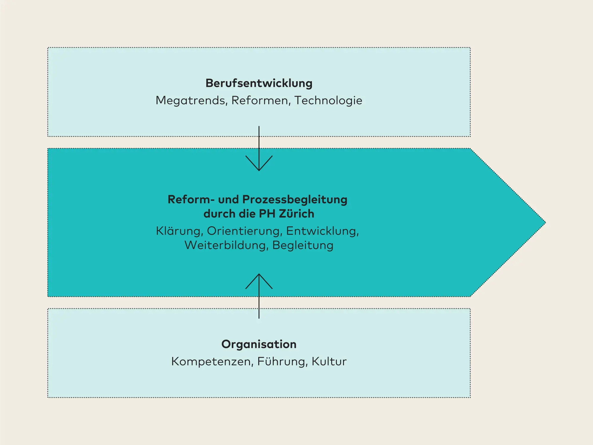 Grafik: Reform- und Prozessbegleitung der PH Zürich